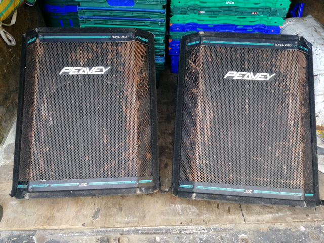 peavey stage speakers